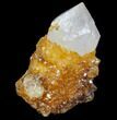 Sunshine Cactus Quartz Crystal - South Africa #80220-1